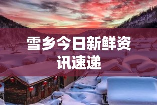 雪乡今日新鲜资讯速递