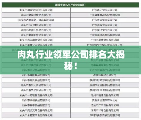 肉丸行业领军公司排名大揭秘！