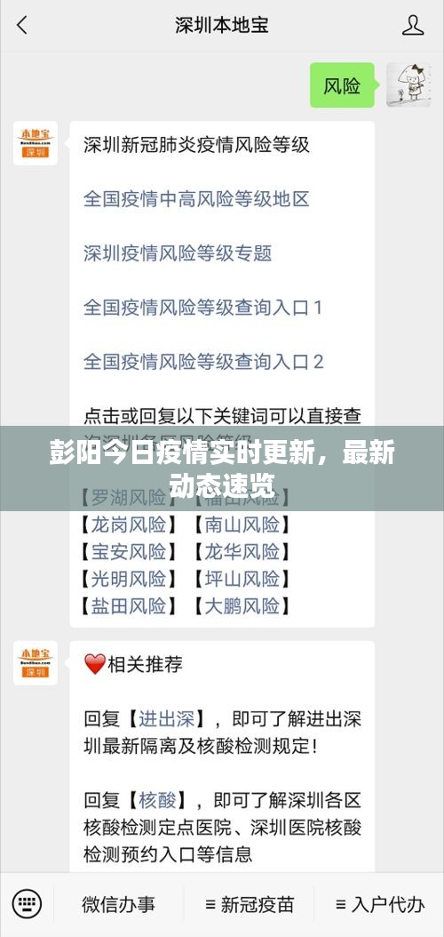 彭阳今日疫情实时更新，最新动态速览