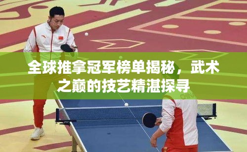 全球推拿冠军榜单揭秘，武术之巅的技艺精湛探寻