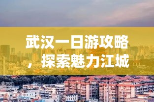 衣不兼彩