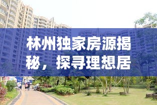 甄繁就简