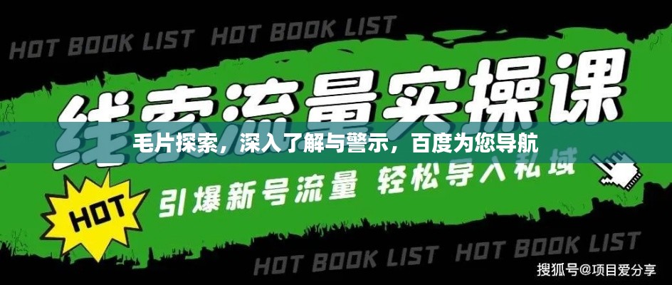 毛片探索，深入了解与警示，百度为您导航