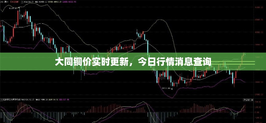蛙蟆胜负