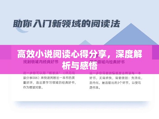 高效小说阅读心得分享，深度解析与感悟