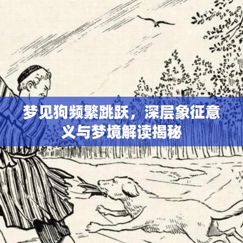 梦见狗频繁跳跃，深层象征意义与梦境解读揭秘