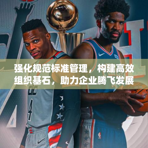 强化规范标准管理，构建高效组织基石，助力企业腾飞发展