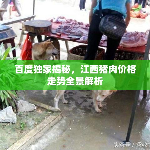 百度独家揭秘，江西猪肉价格走势全景解析