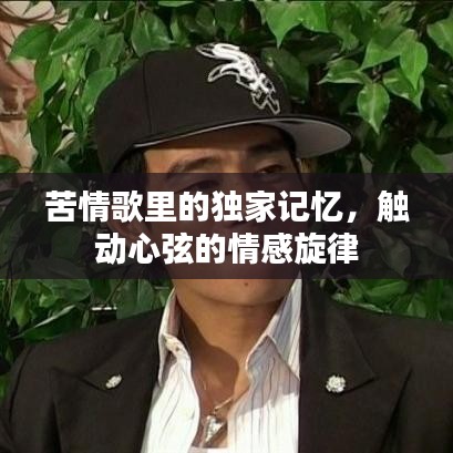 苦情歌里的独家记忆，触动心弦的情感旋律