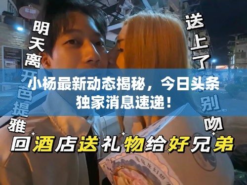 小杨最新动态揭秘，今日头条独家消息速递！
