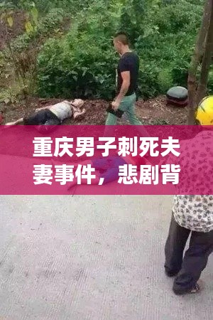重庆男子刺死夫妻事件，悲剧背后的警醒与反思