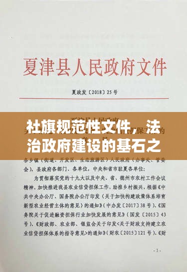 社旗规范性文件，法治政府建设的基石之路