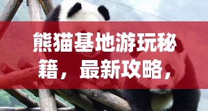 纲挈目张