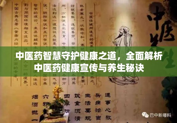 中医药智慧守护健康之道，全面解析中医药健康宣传与养生秘诀