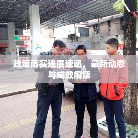 政策落实进展速递，最新动态与成效解读