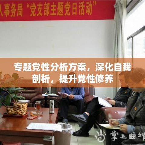 专题党性分析方案，深化自我剖析，提升党性修养