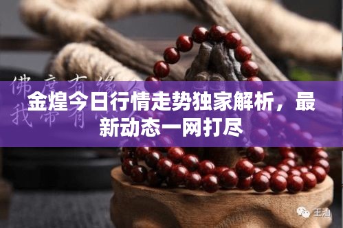 金煌今日行情走势独家解析，最新动态一网打尽