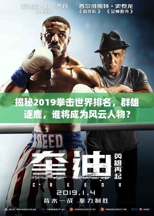 揭秘2019拳击世界排名，群雄逐鹿，谁将成为风云人物？