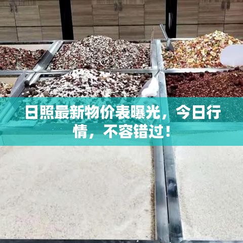 天罗地网