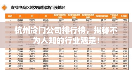 杭州冷门公司排行榜，揭秘不为人知的行业翘楚！