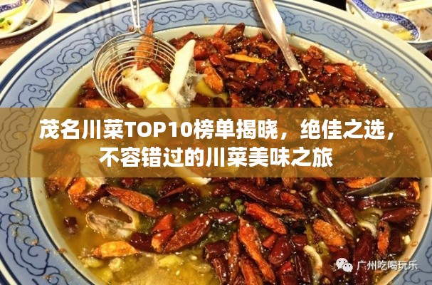 茂名川菜TOP10榜单揭晓，绝佳之选，不容错过的川菜美味之旅