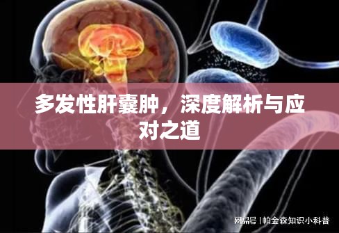 多发性肝囊肿，深度解析与应对之道