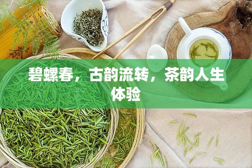 荡然无存