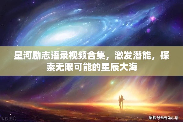 鸟飞兔走
