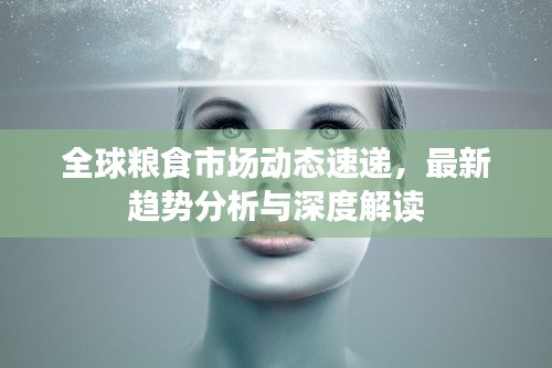轻飞曼舞