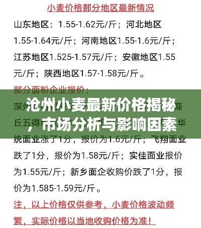 沧州小麦最新价格揭秘，市场分析与影响因素探讨