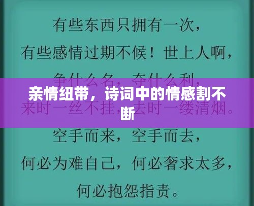 亲情纽带，诗词中的情感割不断
