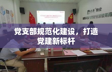 党支部规范化建设，打造党建新标杆