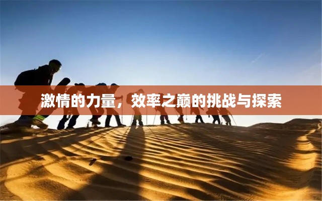 激情的力量，效率之巅的挑战与探索