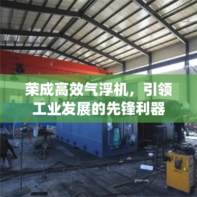 荣成高效气浮机，引领工业发展的先锋利器