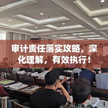 审计责任落实攻略，深化理解，有效执行！
