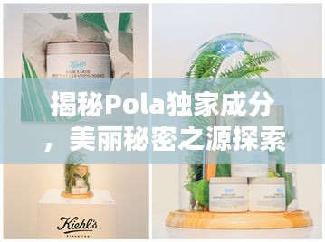 澹泊明志