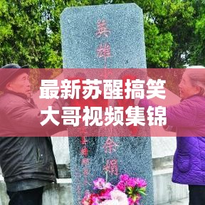 最新苏醒搞笑大哥视频集锦，笑神经瞬间被点燃
