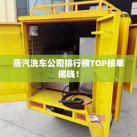 蒸汽洗车公司排行榜TOP榜单揭晓！