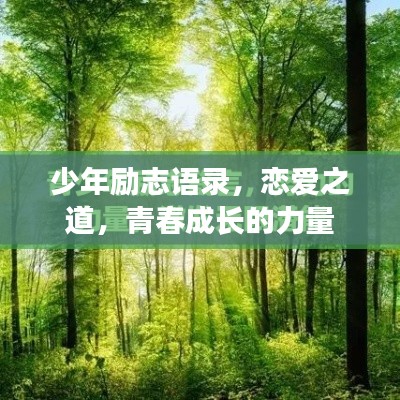 物以希为贵
