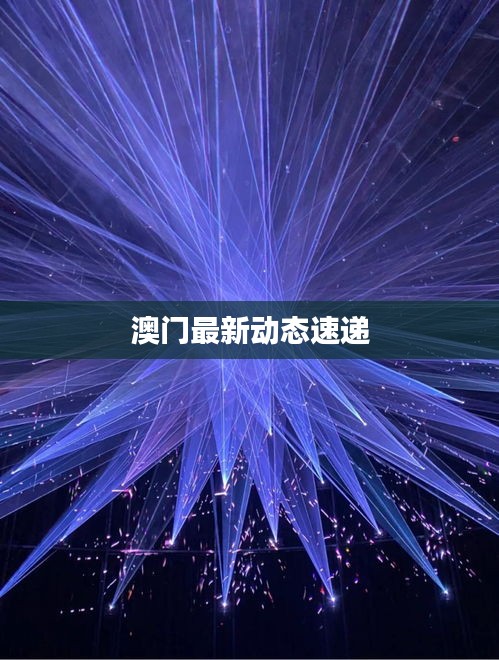 澳门最新动态速递