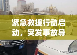 虫言鸟迹