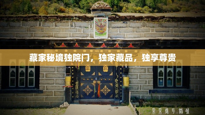 藏家秘境独院门，独家藏品，独享尊贵