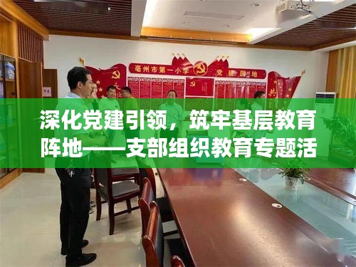 深化党建引领，筑牢基层教育阵地——支部组织教育专题活动