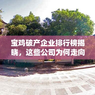 龙飞九五