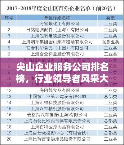 尖山企业服务公司排名榜，行业领导者风采大揭秘！
