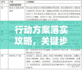 行动方案落实攻略，关键步骤与策略全解析！