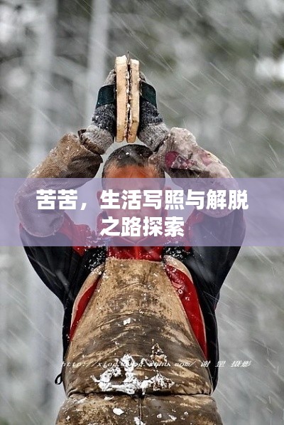 纲举目张