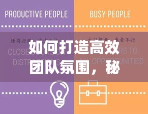 如何打造高效团队氛围，秘诀与策略！