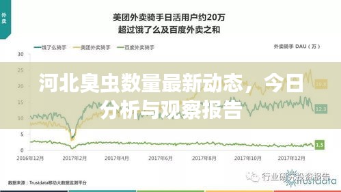 河北臭虫数量最新动态，今日分析与观察报告