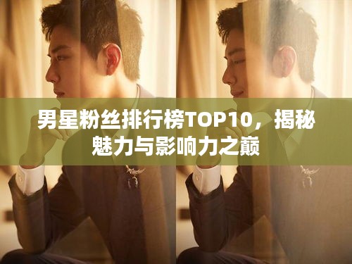 男星粉丝排行榜TOP10，揭秘魅力与影响力之巅